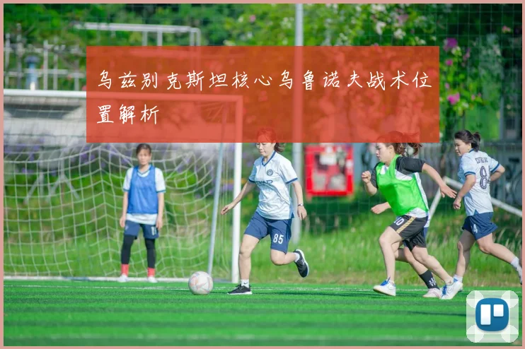 乌兹别克斯坦核心乌鲁诺夫战术位置解析