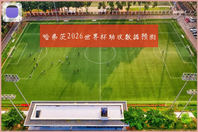 哈弗茨2026世界杯助攻数据预测