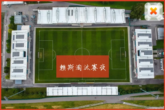 赖斯淘汰赛夜