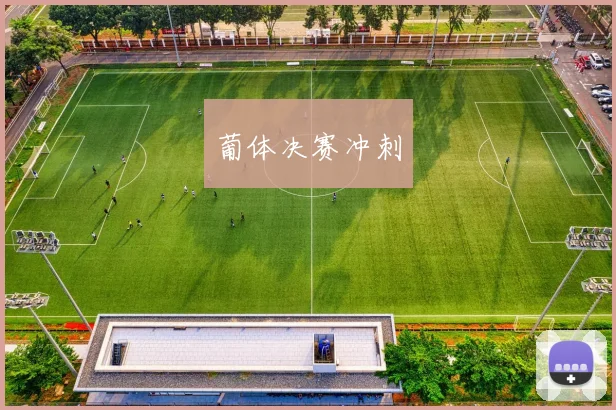 葡体决赛冲刺