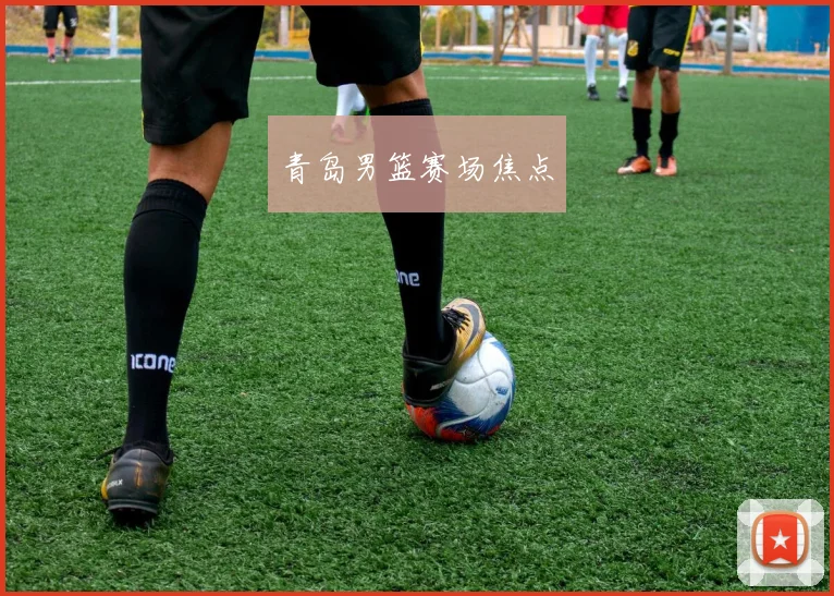 青岛男篮赛场焦点