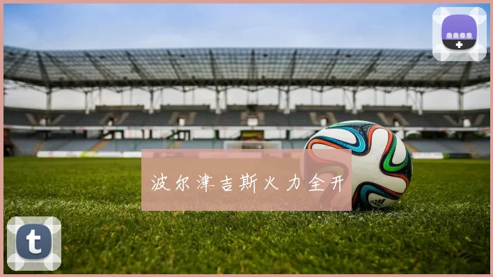 波尔津吉斯火力全开