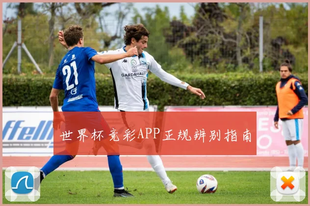 世界杯竞彩APP正规辨别指南