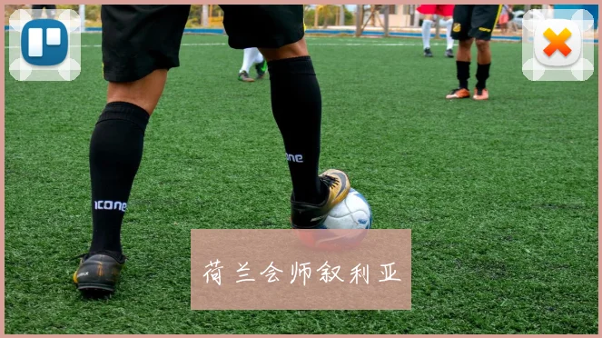 荷兰会师叙利亚