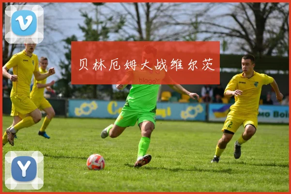 贝林厄姆大战维尔茨