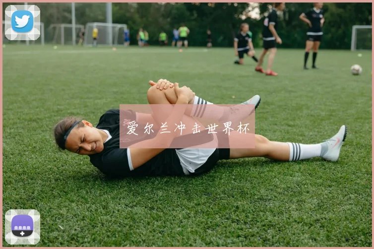 爱尔兰冲击世界杯