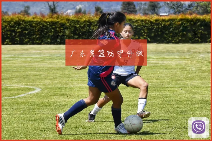 广东男篮防守升级