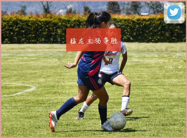 猛龙主场争胜