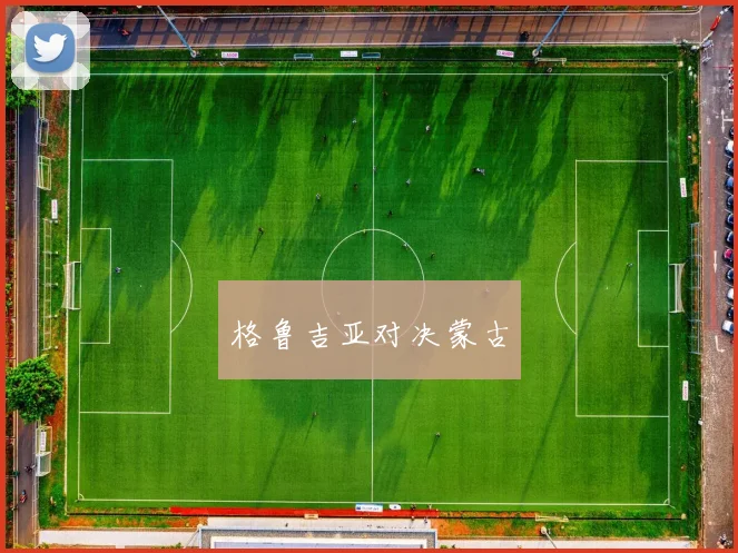 格鲁吉亚对决蒙古