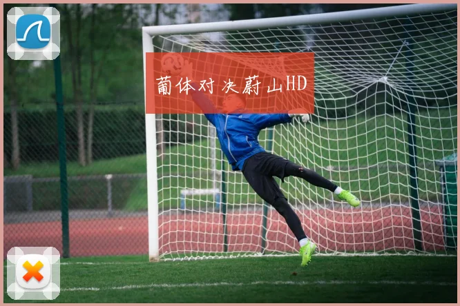 葡体对决蔚山HD