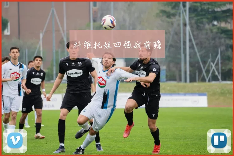 科维托娃四强战前瞻