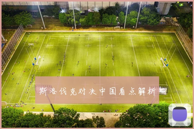斯洛伐克对决中国看点解析