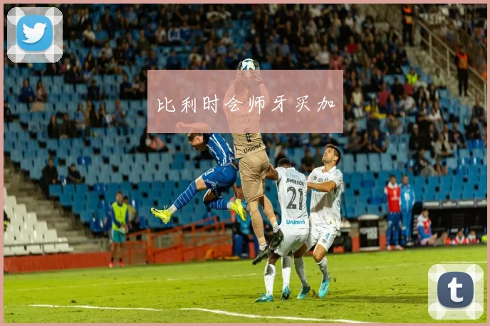 比利时会师牙买加
