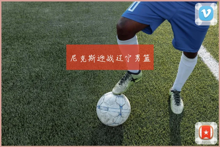 尼克斯迎战辽宁男篮