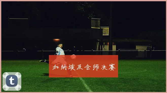 加纳埃及会师决赛