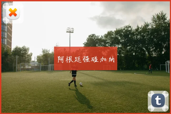 阿根廷强碰加纳
