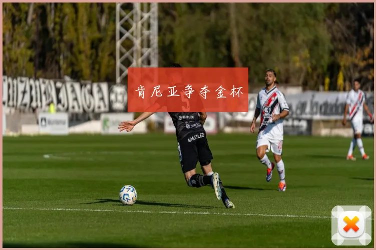 肯尼亚争夺金杯