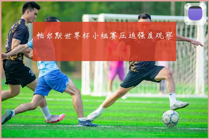 帕尔默世界杯小组赛压迫强度观察