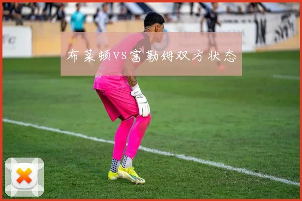 布莱顿vs富勒姆双方状态