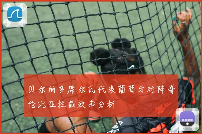 贝尔纳多席尔瓦代表葡萄牙对阵哥伦比亚拦截效率分析