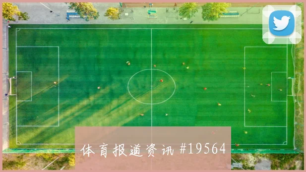 6月11日捷克vs韩国短传配合